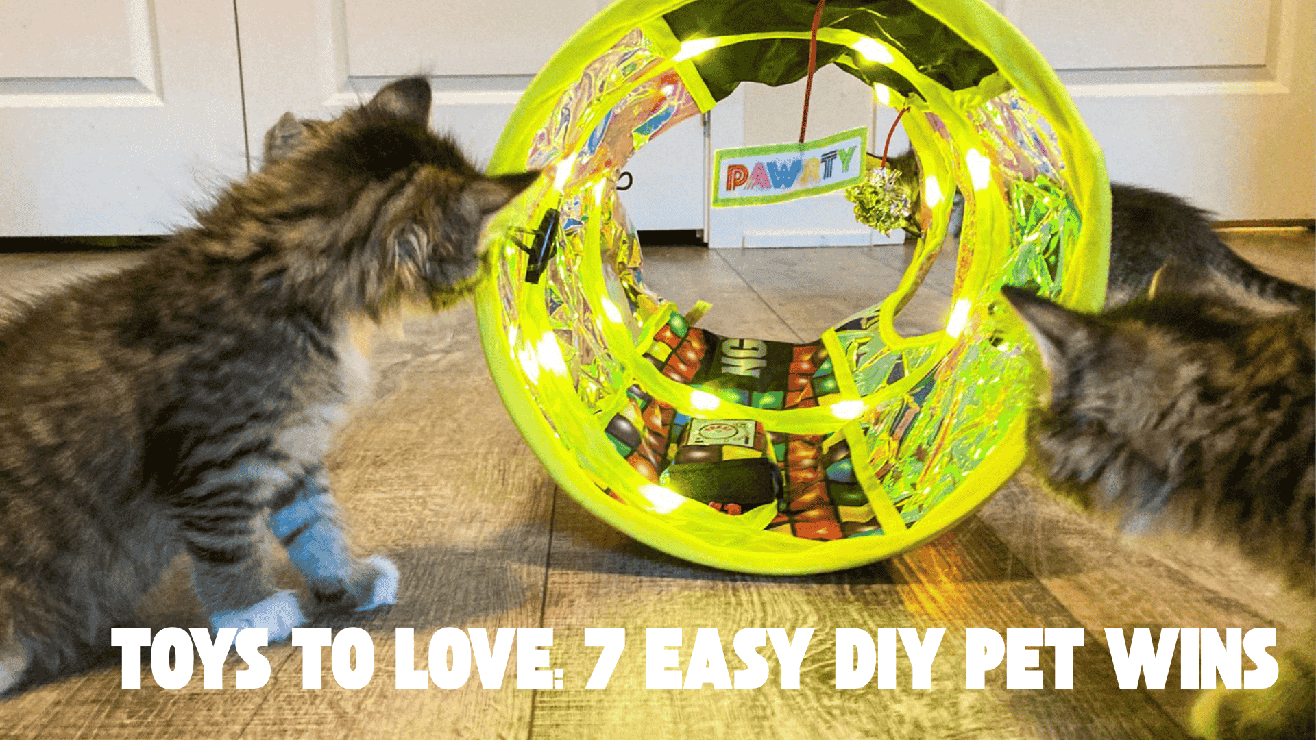 Toys to Love: 7 Easy DIY Pet Wins