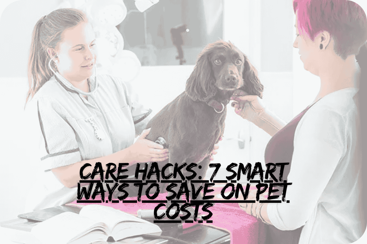 Care Hacks: 7 Smart Ways to Save on Pet Costs