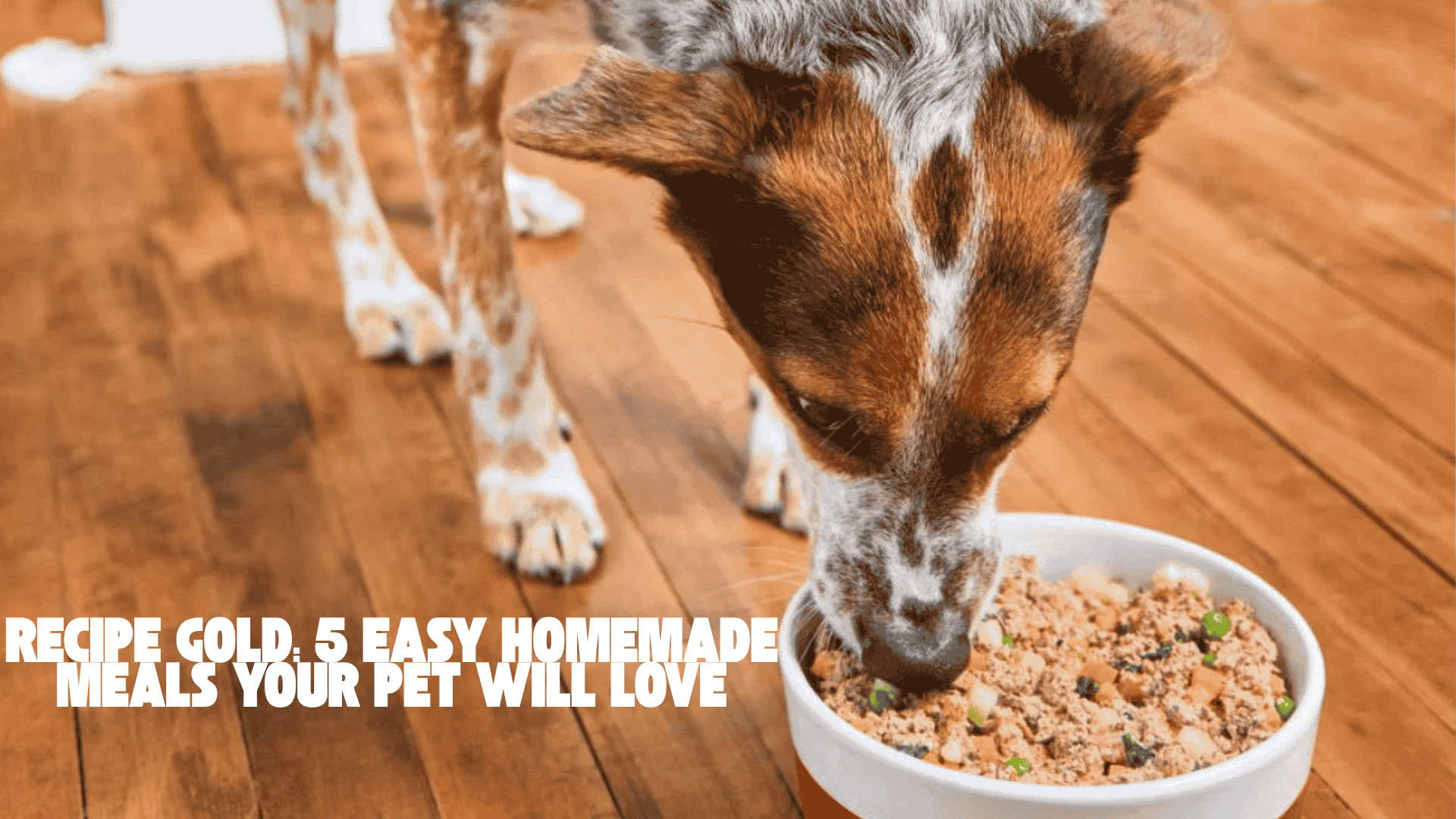 Recipe Gold: 5 Easy Homemade Meals Your Pet Will Love